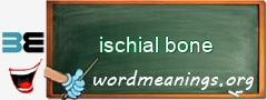 WordMeaning blackboard for ischial bone